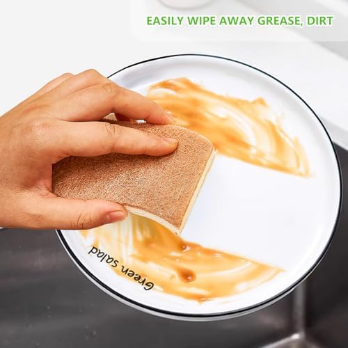 Clean Kitchen Suite 2 Dish Brush 12 Sponges