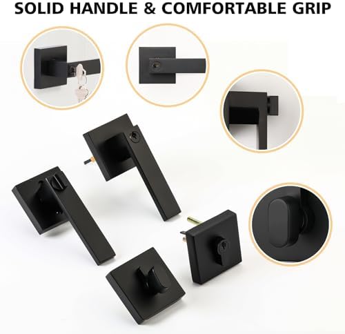 Matte Black Door Lock Set