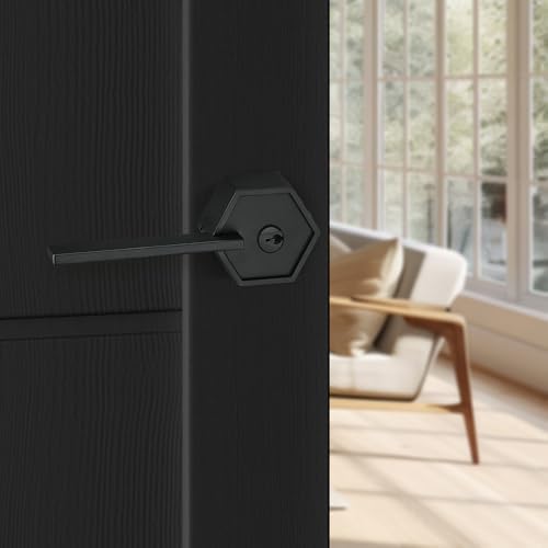 Berlin Modisch Zero Gravity Door Lever Handle Set with Deadbolt 1