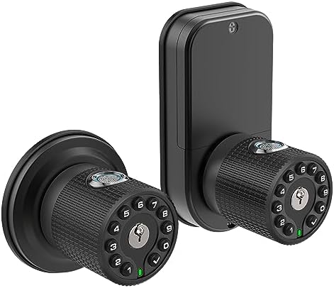 Secure biometric door lock