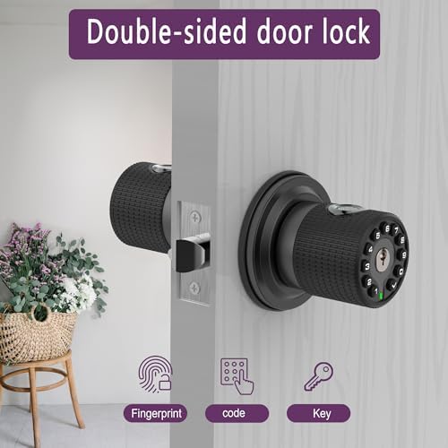 Secure biometric door lock
