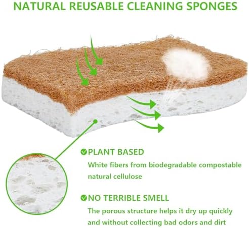 Clean Kitchen Suite 2 Dish Brush 12 Sponges