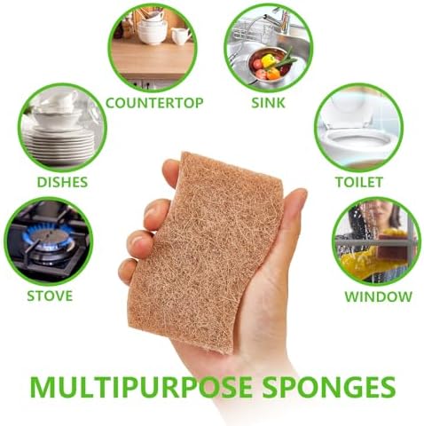 Clean Kitchen Suite 2 Dish Brush 12 Sponges