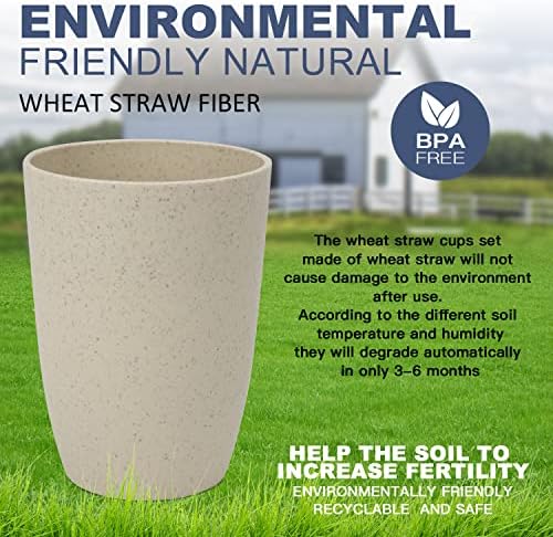 Eco-Friendly Reusable Wheat Straw Cups BPA-Free 6-Piece Set