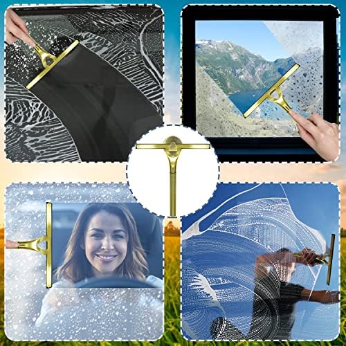 HomDSim Stainless Steel Squeegee Multi-Purpose